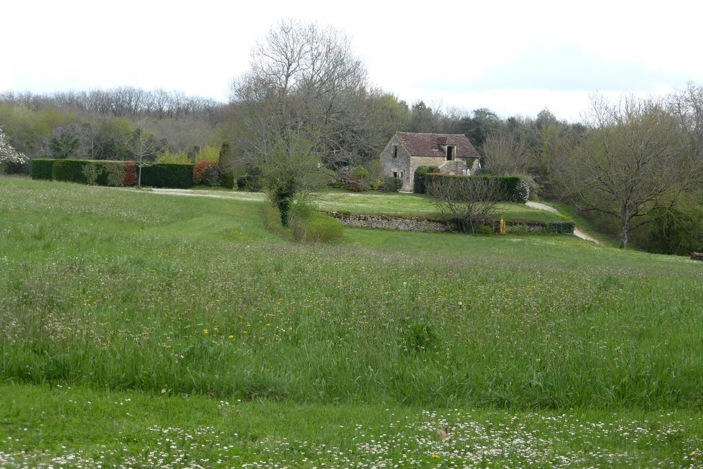 Studio De Charme Abelia Saint-Crépin-et-Carlucet Exterior photo